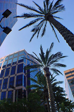 New fiber optic services offer better pricing for users in Orange County, CA